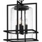 Quoizel Damien 4-Light Earth Black Pendant DMN1514EK - alternate 5